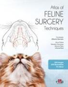 Feline surgery