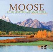 Moose of Yellowstone and Grand Teton