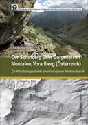 Der Schafberg über Gargellen im Montafon, Vorarlberg (Österreich)
