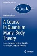 A Course in Quantum Many-Body Theory