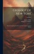 Geology Of New-york: Part Iv Comprising The Survey Of The Fourth Geological District, Volume 4