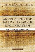 Micah, Zephaniah, Nahum, Habakkuk, Joel, and Obadiah