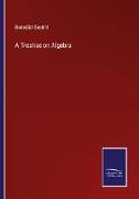 A Treatise on Algebra