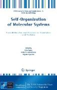 Self-Organization of Molecular Systems