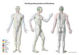 Lernposter - Die Akupunkturpunkte und Meridiane