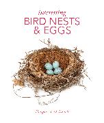 Interesting Bird Nests and Eggs