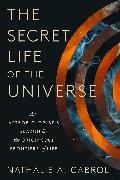 The Secret Life of the Universe