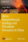 Meso-Neoproterozoic Geology and Petroleum Resources in China