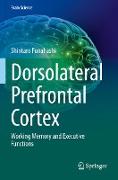 Dorsolateral Prefrontal Cortex