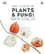 Plants and Fungi