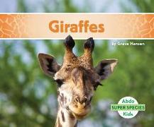 Giraffes