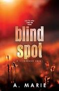 Blind Spot Discreet Cover