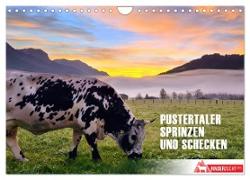 Pustertaler Sprinzen und Schecken in Österreich (Wandkalender 2024 DIN A4 quer), CALVENDO Monatskalender