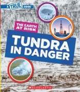 Tundra in Danger (a True Book: The Earth at Risk)
