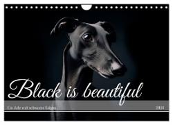 Black is beautiful (Wandkalender 2024 DIN A4 quer), CALVENDO Monatskalender