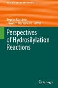 Perspectives of Hydrosilylation Reactions