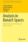 Analysis in Banach Spaces