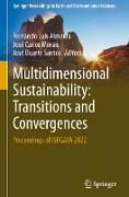 Multidimensional Sustainability: Transitions and Convergences