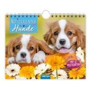 Trötsch Notizkalender Querformat Notizkalender Hunde 2025 mit 12 Postkarten