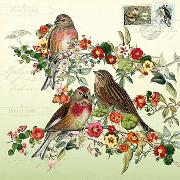 Postkarte. Vögel und Blumen / blanko