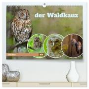 der Waldkauz - Strix Aluco (hochwertiger Premium Wandkalender 2024 DIN A2 quer), Kunstdruck in Hochglanz