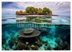 Farbenpracht im Ozean - Die Schönheit der Korallen (Wandkalender 2024 DIN A2 quer), CALVENDO Monatskalender