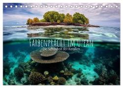 Farbenpracht im Ozean - Die Schönheit der Korallen (Tischkalender 2024 DIN A5 quer), CALVENDO Monatskalender