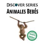 Animales Bebés