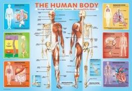 The Human Body 200-Piece Puzzle
