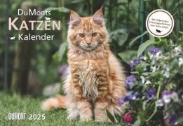 DUMONTS Katzenkalender 2025 - Broschürenkalender - Wandkalender - mit Schulferienterminen - Format 42 x 29 cm