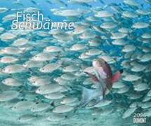 Fischschwärme 2025 – Unterwasser-Natur-Fotografie – Wandkalender 60 x 50 cm – Spiralbindung