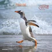 Pinguine 2025 - Broschürenkalender 30x30 cm (30x60 geöffnet) - Kalender mit Platz für Notizen - Penguins - Bildkalender - Wandplaner - Wandkalender