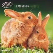 Kaninchen 2025 - Broschürenkalender 30x30 cm (30x60 geöffnet) - Kalender mit Platz für Notizen - Rabbits - Bildkalender - Wandplaner - Wandkalender