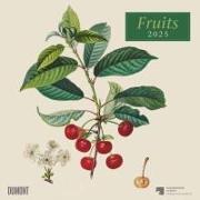 Fruits 2025 ‒ Broschürenkalender ‒ mit historischen Abbildungen alter Obstsorten von Pierre Antoine Poiteau ‒ Format 30 x 30 cm