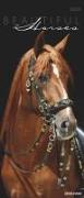 Beautiful Horses 2025 - Foto-Kalender - Wand-Kalender - 30x70