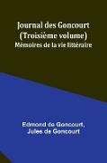 Journal des Goncourt (Troisième volume), Mémoires de la vie littéraire
