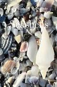 Seashells