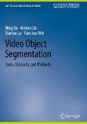 Video Object Segmentation