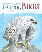 A Children's Guide to Arctic Birds