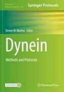 Dynein