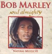 SOUL ALMIGHTY -NATURAL MY