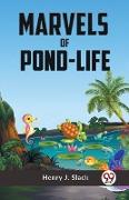 Marvels Of Pond-Life