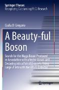A Beauty-ful Boson