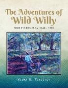 The Adventures of Wild Willy