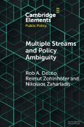 Multiple Streams and Policy Ambiguity