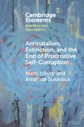 Antinatalism, Extinction, and the End of Procreative Self-Corruption