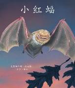 &#23567,&#32418,&#34656, (Little Red Bat in Chinese)