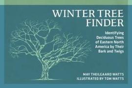 Winter Tree Finder