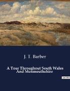 A Tour Throughout South Wales And Monmouthshire