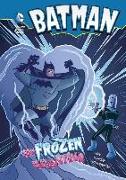 Batman: My Frozen Valentine